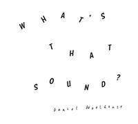 Daniel Woolhouse - What's That Sound [VINYL]