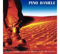 Daniele Pino - Do Not Tread On The Flowers In The Desert