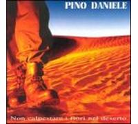 Daniele, Pino - Non Calpestare I Fiori Ne Dese