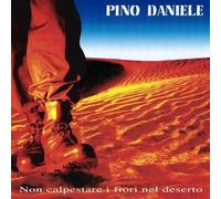 Daniele Pino - Non Calpestare I Fiori Nel Deserto (Remasterd 2018) [VINYL]