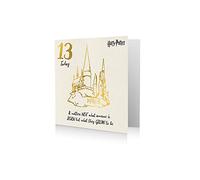 Danilo Promotions,6X 6,Multi, HP043 Age 13 Harry Potter Card, Happy 13th Birthday Card Harry Potter, Harry Potter Age 13 Birthday Card, 13th Birthday Card