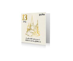 Danilo Promotions,6X 6,Multi, HP043 Age 13 Harry Potter Card, Happy 13th Birthday Card Harry Potter, Harry Potter Age 13 Birthday Card, 13th Birthday Card
