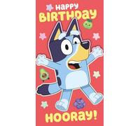 Danilo Promotions Ltd Bluey Birthday Card