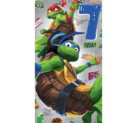 Danilo Promotions Ltd Teenage Mutant Ninja Turtles Birthday Card, Age 7