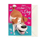 Danilo Promotions Official The Secret Life of Pets 'from The Dog' Mother's Day Card