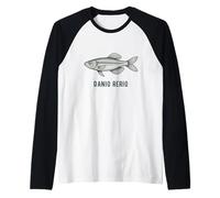 Danio Rerio Zebrafish Scientific Research Illustration Raglan Baseball Tee