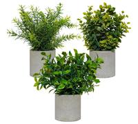 DANISCH 3 Sets Mini Potted Artificial Plants Indoors in Fake Plants Eucalyptus Faux Plants Rosemary Office Desk Kitchen Bedroom Garden Home Room Decor