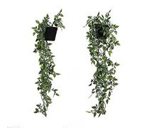DANISCH Set of 2 Hanging Artificial Plants Vines Plants Plastic Fake Plants Plant Pot Plant for Home Kitchen Garden Office Wedding Hanging Pot Wall Decoration Indoor Outdoor (Black)
