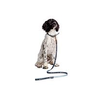 Danish Design FatFace Marching Dogs Woven Genuine Leather Trim Metal Buckle Blue Dog/Puppy Lead Medium 20mm 120 cm