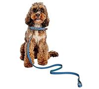 Danish Design FatFace Spotty Bees Woven Genuine Leather Trim Metal Buckle Blue Dog/Puppy Lead Medium 20mm 120 cm