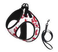 Danish Flag Map print Dog Harness and Leash Set, Reflective Adjustable Puppy Vest for Small Medium Large Dogs, Cats