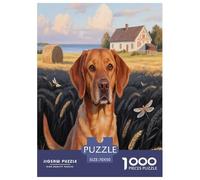 Danish Swedish Farm Dog 1000 Piece Puzzle Educational Games Decoration Puzzle Cute Pets Challenging for Adults for Relaxing Decor And Gift 70x50cm/1000pcs