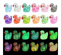 DanLingJewelry 20Pcs Glow in The Dark Duck Beads Acrylic Luminous Tiny Duck Animals Beads for Jewellery Bracelet Making Party Home Decor