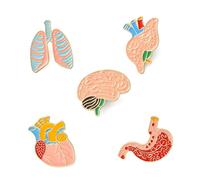 DanLingJewelry 5Pcs Body Organ Series Enamel Pin Brooches Brain Lung Stomach Heart Lapel Pins for DIY Clothes Backpack Hat Accessories