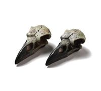 DanLingJewelry 5Pcs Halloween Raven Skull Figurines Gothic Animal Skulls Decorations Mini Crow Skeleton Ornaments for DIY Necklaces Jewellery Making Home Decor