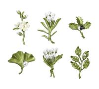 DanLingJewelry 6Pcs Cute Green Plant Lapel Pins Mixed Flower & Leaf Branch Brooch for Jewelry Gifts Clothes Backpack Decor