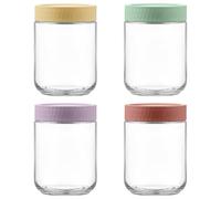 Danmu Art 4Pack Glass Overnight Oats Jars with Leak-proof Lids - 500ml/16OZ- Stackable Jam Jar - Pickling, Canning, Preserving for Kitchen Food Storage Container