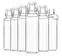 Danmu Art 6PCS 1L Glass Bottles with Swing Top and handle - Brewing Airtight Preserve for Home Brewing Oil Vinegar Beer Wine Cider Soda 1000ML/35oz (1000ML)