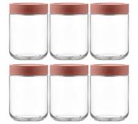 Danmu Art 6PCS Glass Overnight Oats Jars with Leak-proof Lids - 500ml/16OZ- Stackable Jam Jar - Pickling, Canning, Preserving for Kitchen Food Storage Container (Coral-Red)
