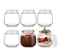 Danmu Art 6Pcs Yogurt Pudding Milk Glass Bottles Jars with Plastic Lids Mini Cup Small Glass Bottles Perfect for Yogurt Maker (100ml)