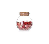 Danmu Art Round Glass Jars Glass Favor Jar Terrarium Food Storage Container with Cork Stoppers for Cookie Candy Spice Tea Cereal 500ML