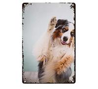 Danny Penaw Art Studio Tin Sign Dog Animals Australian Shephard Paws Indoor Outdoor Wall Decorative Signs Pet Gift Metal Sign 8X12 inches
