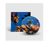 Vera, Danny - The Way Home