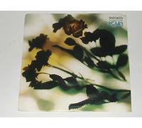 Danny Wilson (2) - the second summer of love / i'll be waiting 45 rpm single