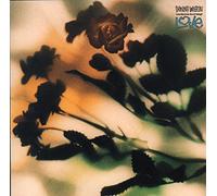 Danny Wilson - The Second Summer Of Love