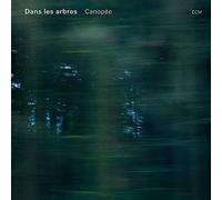 Dans les arbres - Canopée