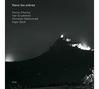 Dans Les Arbres - Dans Les Arbres