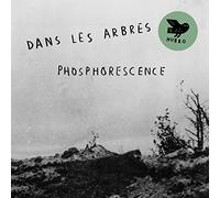Dans Les Arbres - Phosphoresence