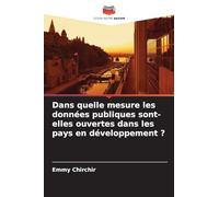Dans quelle mesure les données publiques sont-elles ouvertes dans les pays en développement ?