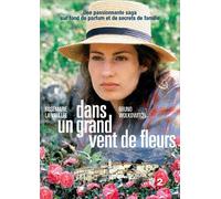 Dans un grand vent de fleurs - Edition 4 DVD