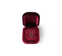 Dansmiy Resilient Velvet Necklace Display Box for Anniversary, Pendant Necklaces Packaging Boxes, Jewelry Storage Organizer Small Case for Retail Travel (Red)