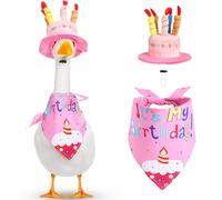 Dansydaisy Happy Birthday Goose Outfit Porch Goose Outfits with Happy Birthday Cake Hat and Birthday Bandana Yard Goose Outfits for 23" 17" Cement Plastic Goose Duck Decorations (Pink Bib)