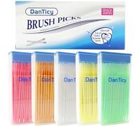 DanTicy Brushpicks Interdental Toothpicks,Soft Bristle Dental Floss Picks Toothpicks,Helps Removes Plaque and Debris Between Your Teeth 600PCS (Pack of 5) Mixed Flavors