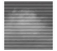 Danube'S Banks & Bela B - Live at Clouds Hill [VINYL]