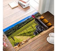 danxceh Soft Bathroom Mat Non Slip,Machine Washable Bathroom Rug Bathmat Bath Mats for Bathtub Shower,Red wine bottles with grapes on wodden board. Beautiful Tuscany background,16x24in