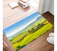 danxceh Soft Bathroom Mat Non Slip,Machine Washable Bathroom Rug Bathmat Bath Mats for Bathtub Shower,Tuscan, Rural Landscape Cypresses Along the Path of Antico vignette,16x24in