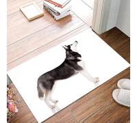 danxceh Soft Bathroom Mat Non Slip,Machine Washable Bathroom Rug Bathmat Bath Mats for Bathtub Shower,Alaskan Malamute, Alaskan Animal Arctic Canine Mammal Obedience Companion Port,16x24in