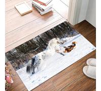 danxceh Soft Bathroom Mat Non Slip,Machine Washable Bathroom Rug Bathmat Bath Mats for Bathtub Shower,Horses, legendary Appaloosa pony and Sand Border Collie run at,16x24in