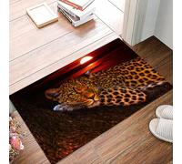 danxceh Soft Bathroom Mat Non Slip,Machine Washable Bathroom Rug Bathmat Bath Mats for Bathtub Shower,Leopardo Safari African Wildlife Animal Cheetah,16x24in