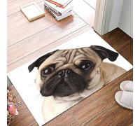 danxceh Soft Bathroom Mat Non Slip,Machine Washable Bathroom Rug Bathmat Bath Mats for Bathtub Shower,Pug Puppy Dog German Pinscher Funny Animal,16x24in