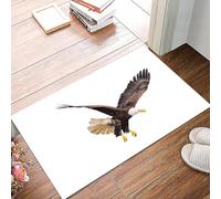 danxceh Soft Bathroom Mat Non Slip,Machine Washable Bathroom Rug Bathmat Bath Mats for Bathtub Shower,Eagle, image of a flying hunter in search of predator Scenes from nature Decor,16x24in