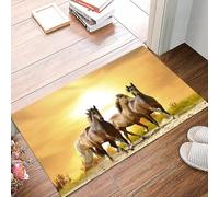 danxceh Soft Bathroom Mat Non Slip,Machine Washable Bathroom Rug Bathmat Bath Mats for Bathtub Shower,The glory of the invasion of horses,16x24in