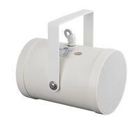 DAP PSB-510P unidirectional projector speaker, 5-inch 10 Watts