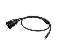 DAP USB-C to 2x XLR Male 3 pin Audio Lead Cable 1.5M DJ PA Sound System
