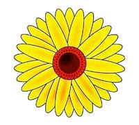 Dapetz ® 4PCS Window Fly Traps, Sunflower Style Catcher Stickers, Bug and Insect Trap for Windows, Indoor Wasp, and Pest Killer Stickers, Fly Traps for Home and Office