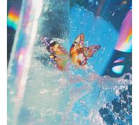 Daphni - Butterfly [VINYL]